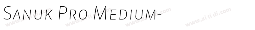 Sanuk Pro Medium字体转换 Sanuk Pro Medium字体转换